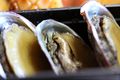 Awabi (Abalone)