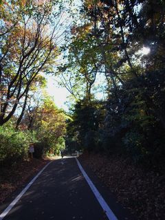 Cycling Road