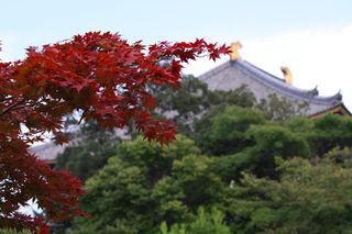 紅葉@東大寺