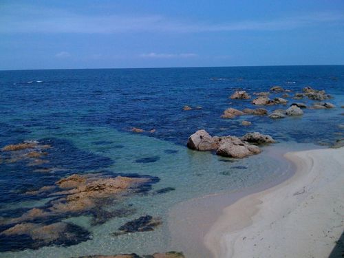 photo.jpg