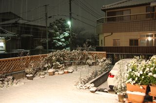 積雪中