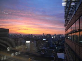 Tokyo Sunset